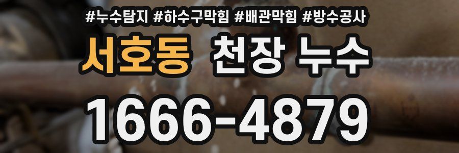 서호동 천장 누수