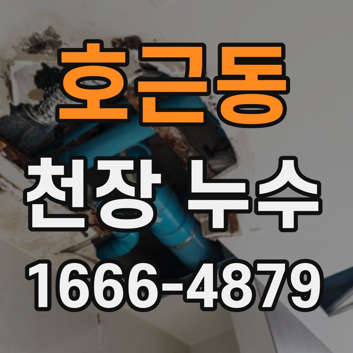 호근동 천장 누수
