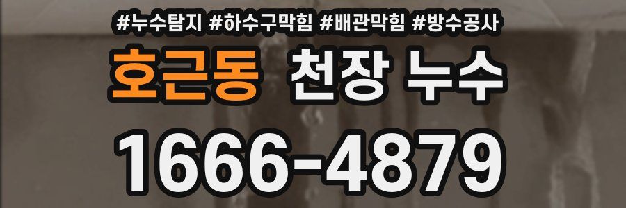 호근동 천장 누수