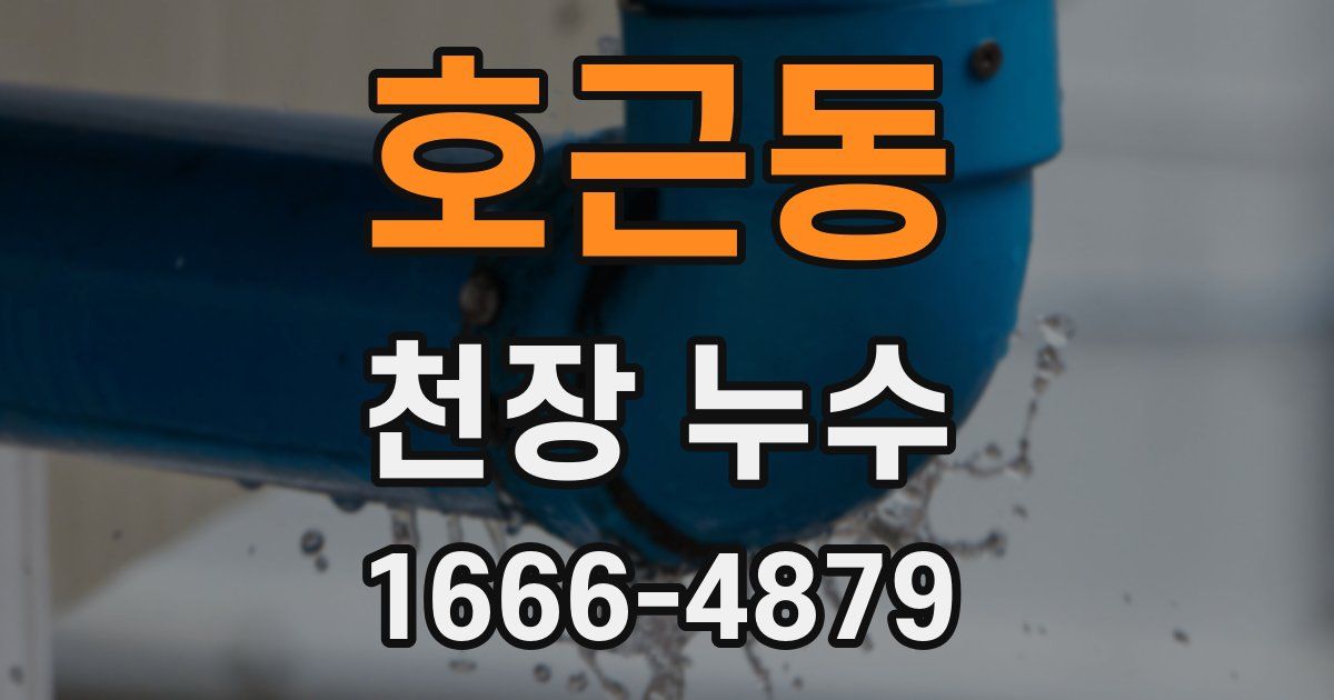 호근동 천장 누수