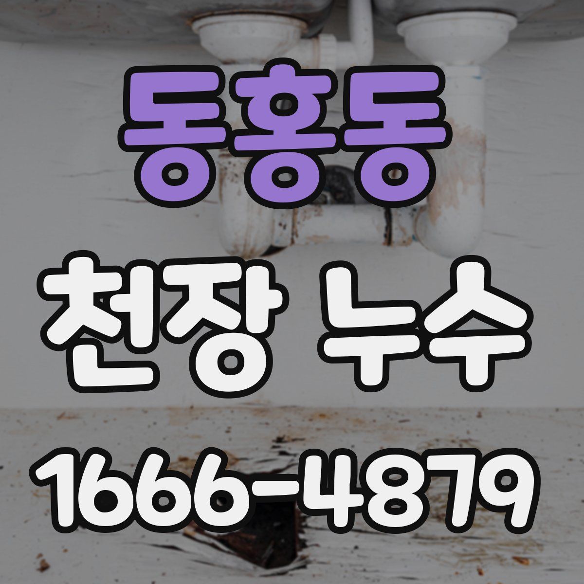 동홍동 천장 누수
