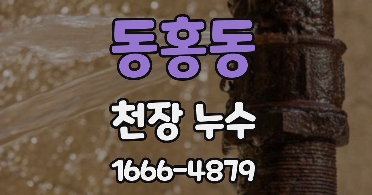 동홍동 천장 누수