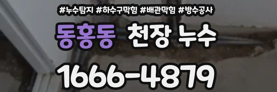 동홍동 천장 누수