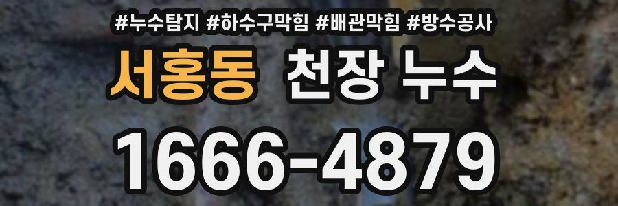 서홍동 천장 누수