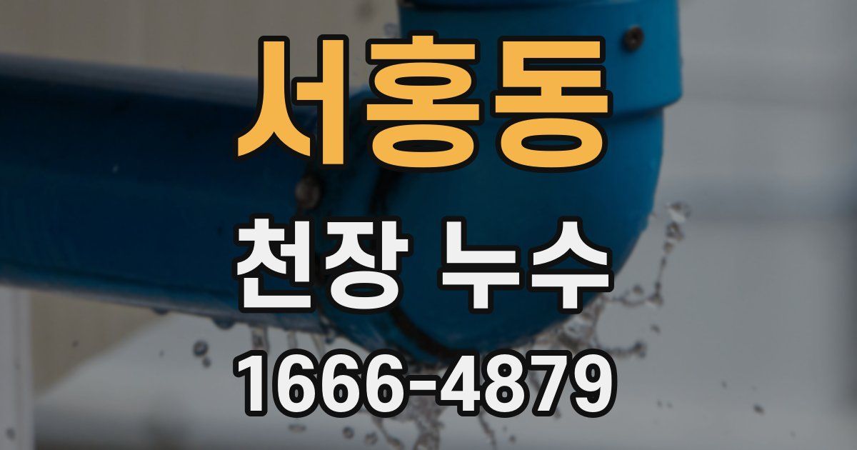 서홍동 천장 누수