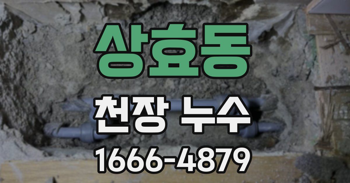 상효동 천장 누수