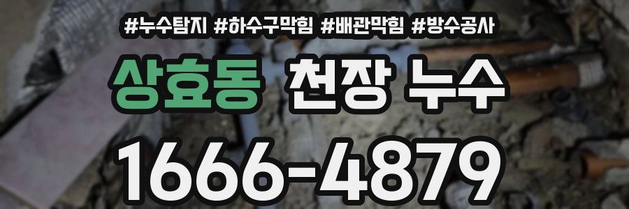 상효동 천장 누수