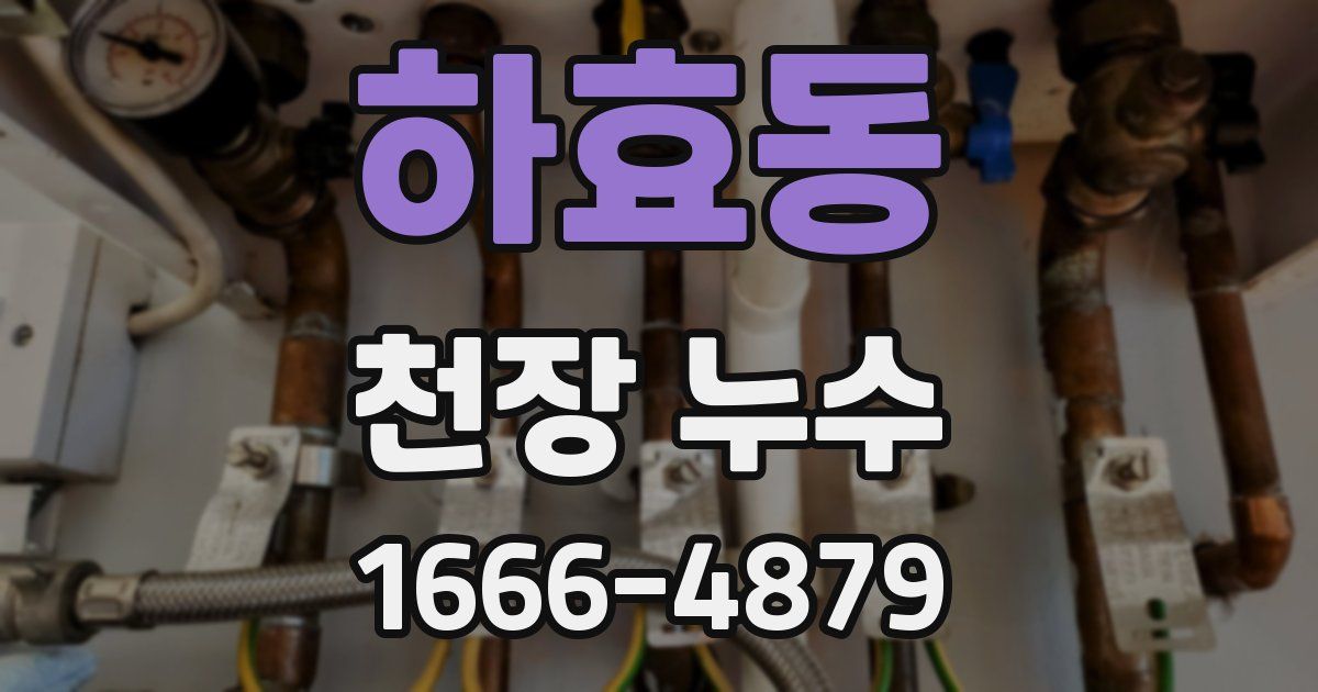 하효동 천장 누수