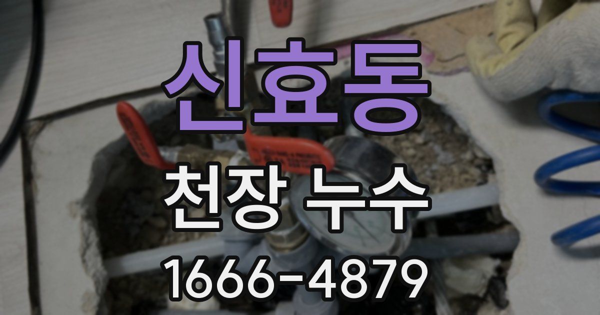 신효동 천장 누수