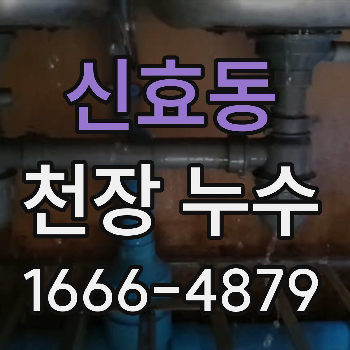 신효동 천장 누수