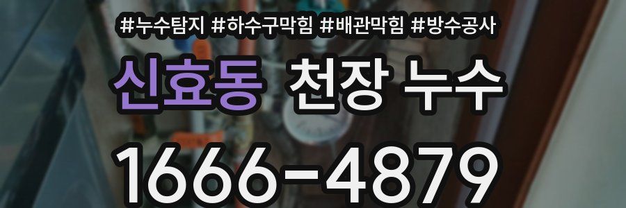 신효동 천장 누수