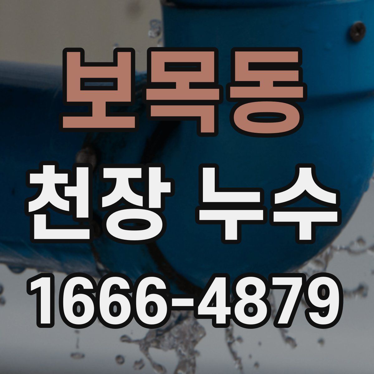 보목동 천장 누수