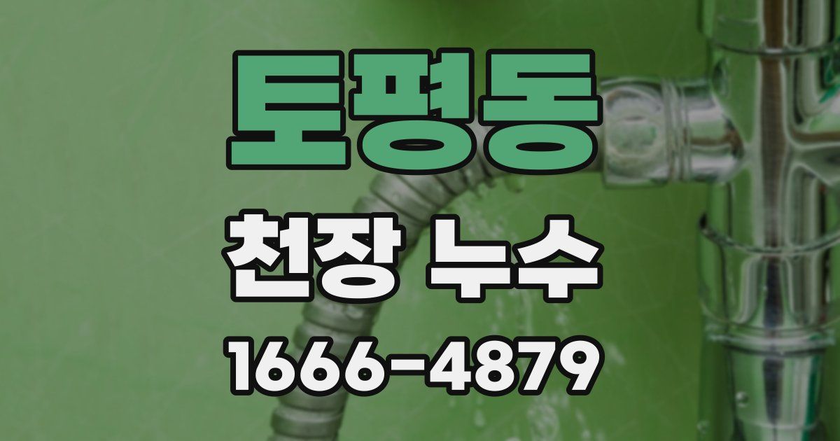 토평동 천장 누수