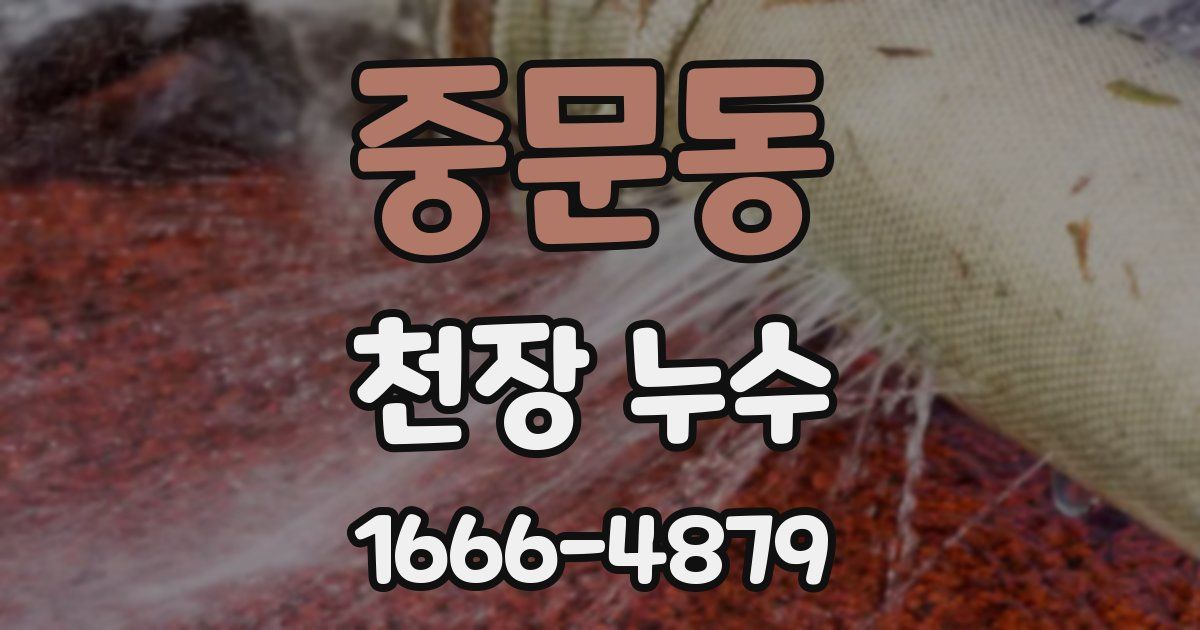 중문동 천장 누수