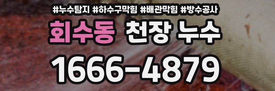 회수동 천장 누수