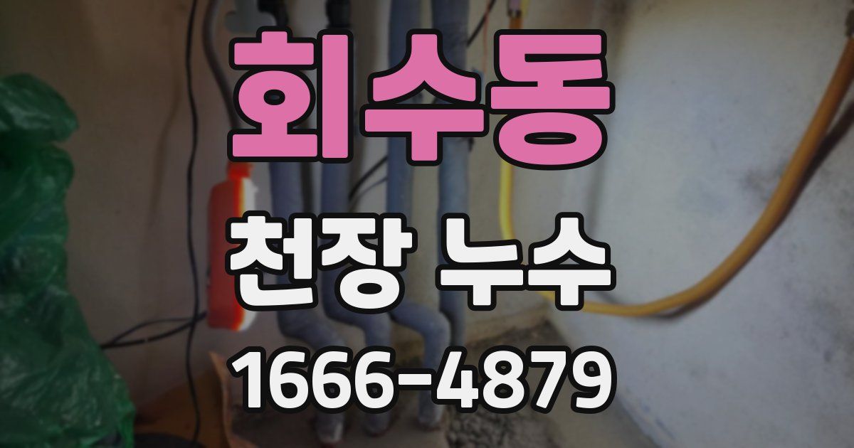 회수동 천장 누수