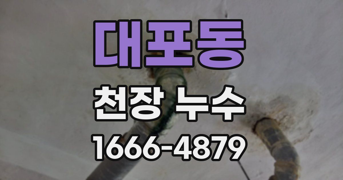 대포동 천장 누수
