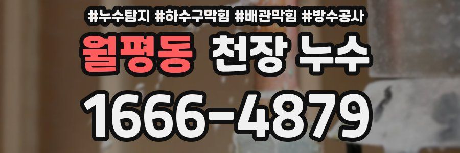 월평동 천장 누수