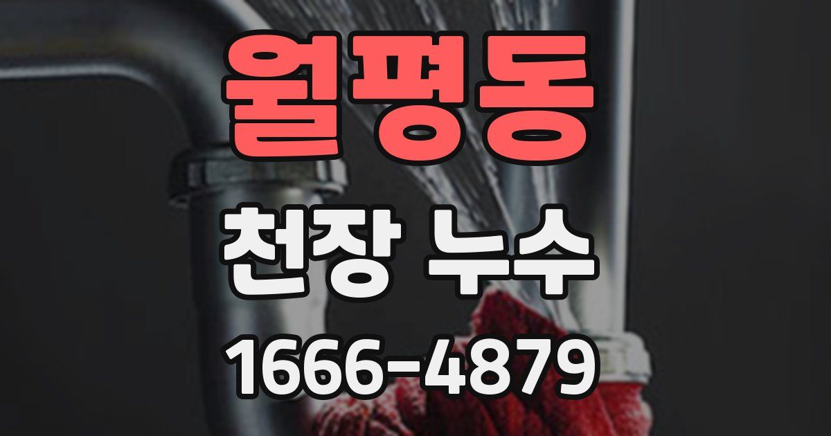 월평동 천장 누수