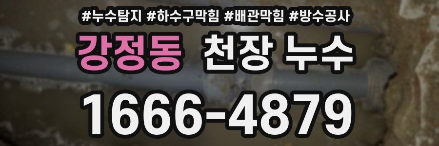 강정동 천장 누수