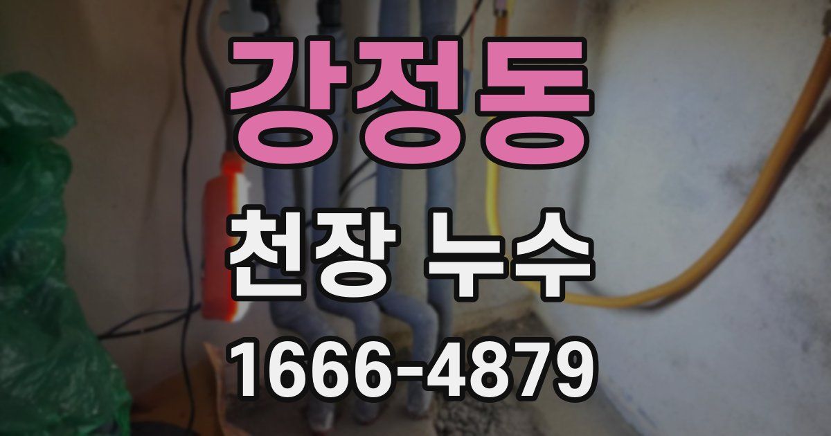 강정동 천장 누수