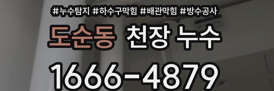도순동 천장 누수