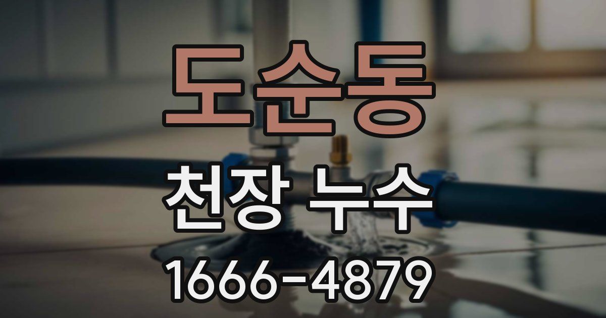 도순동 천장 누수