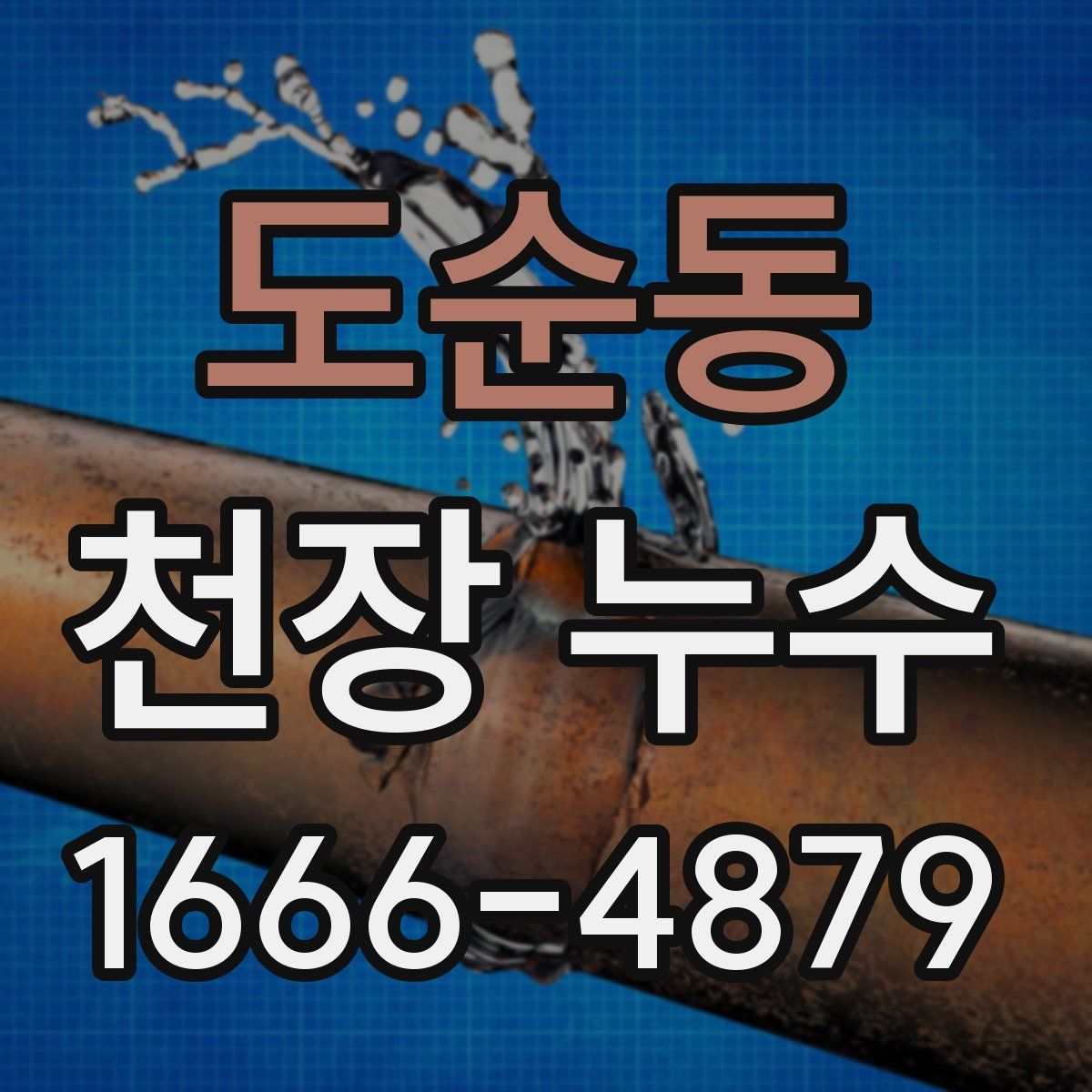 도순동 천장 누수