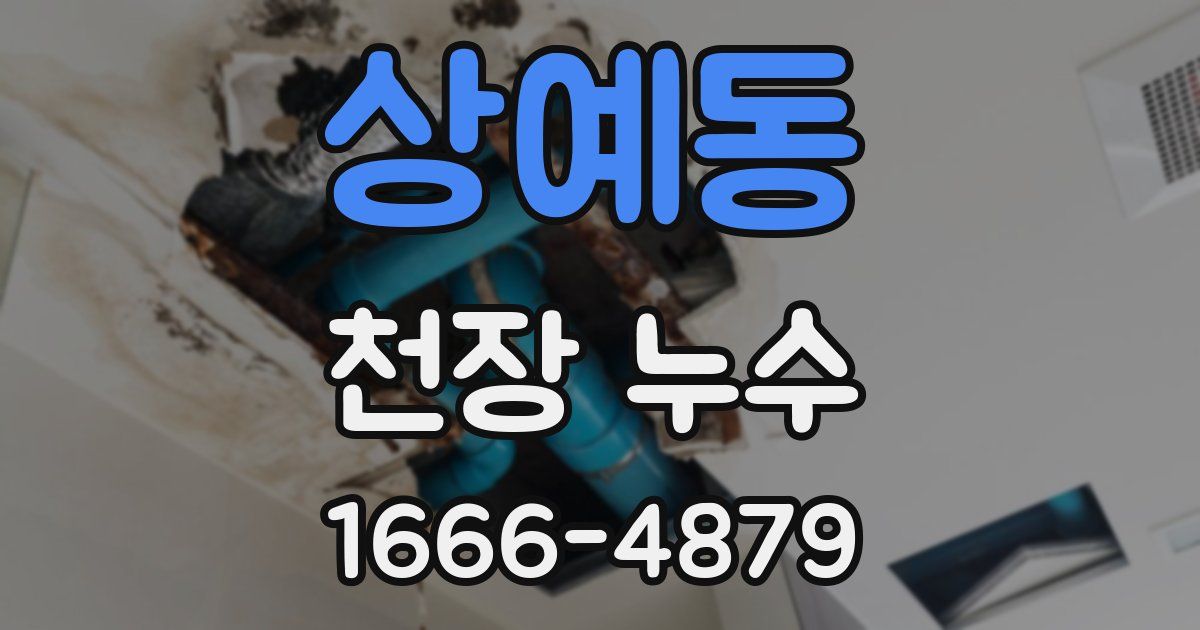 상예동 천장 누수