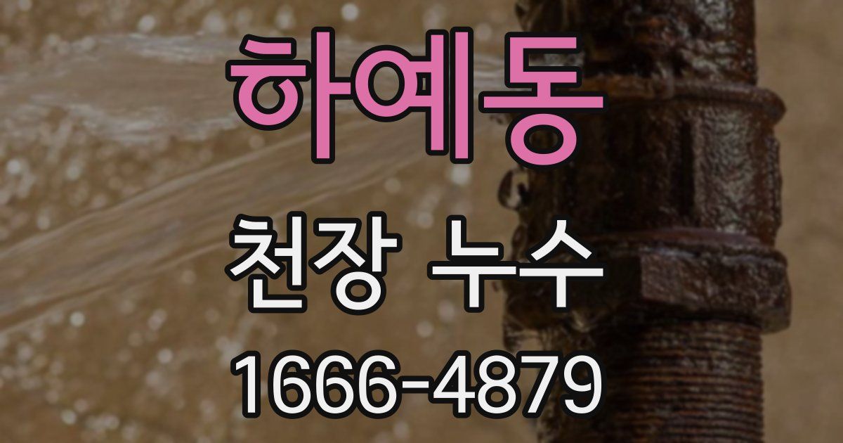 하예동 천장 누수