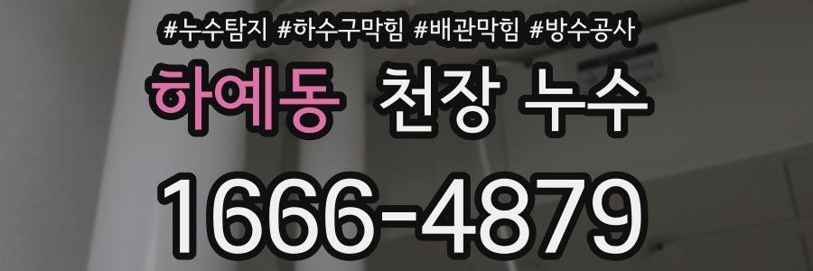 하예동 천장 누수