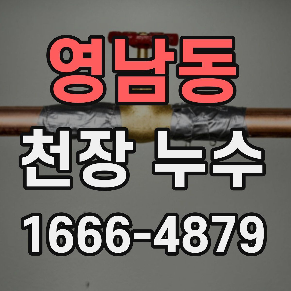 영남동 천장 누수