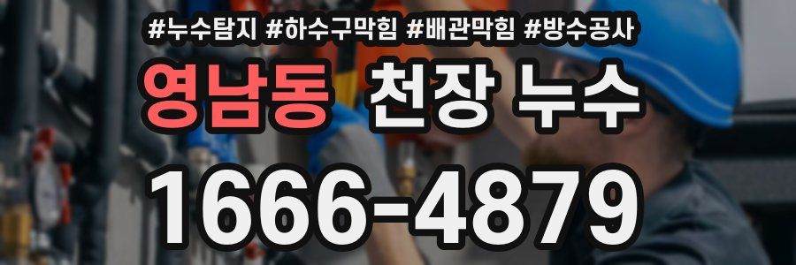 영남동 천장 누수