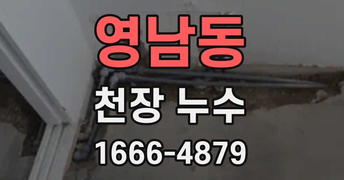 영남동 천장 누수