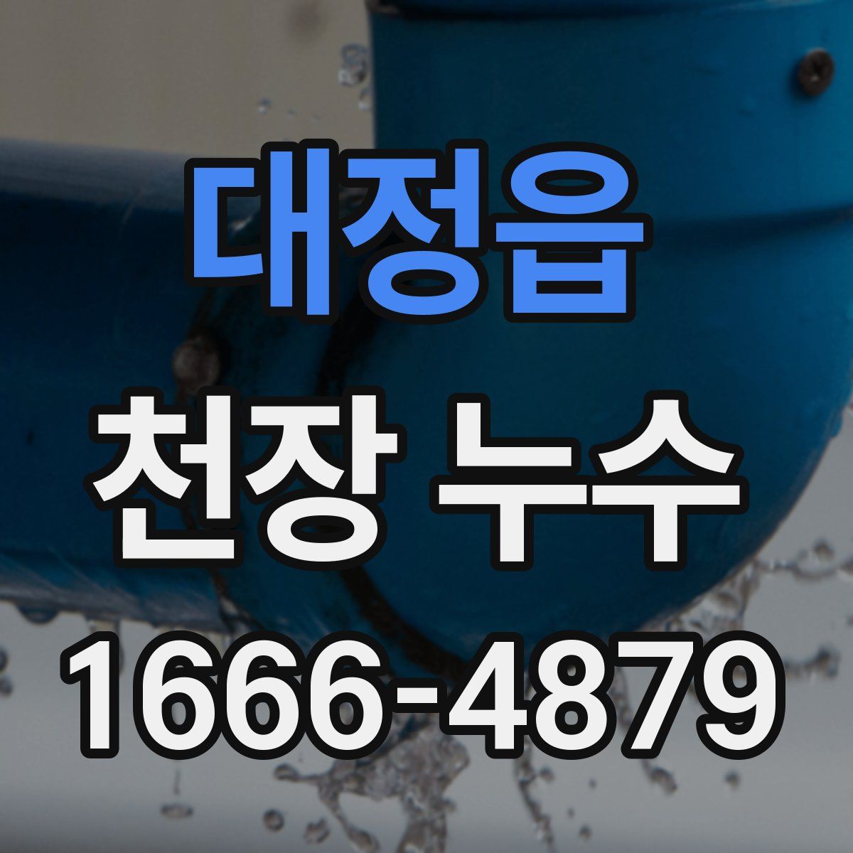 대정읍 천장 누수