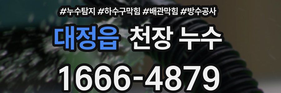 대정읍 천장 누수