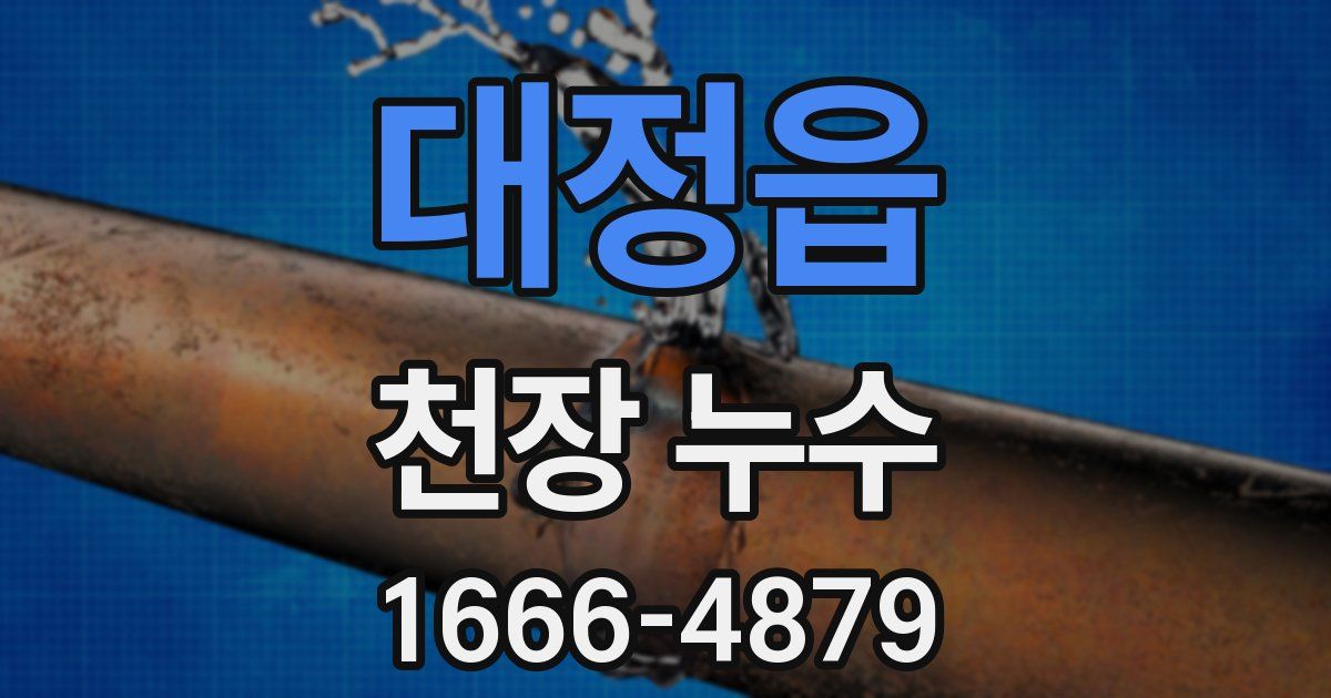 대정읍 천장 누수