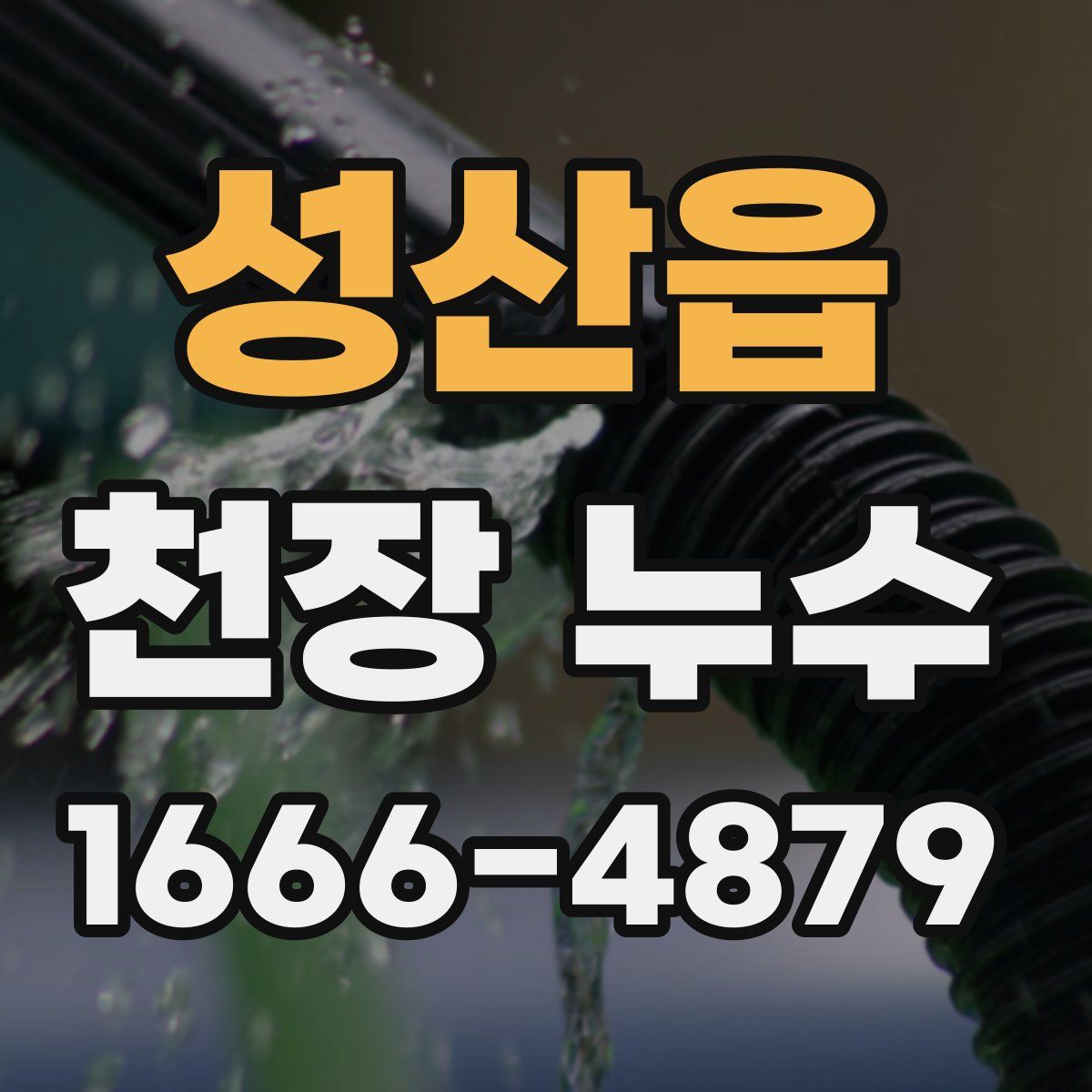 성산읍 천장 누수