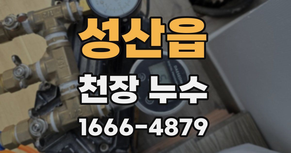 성산읍 천장 누수