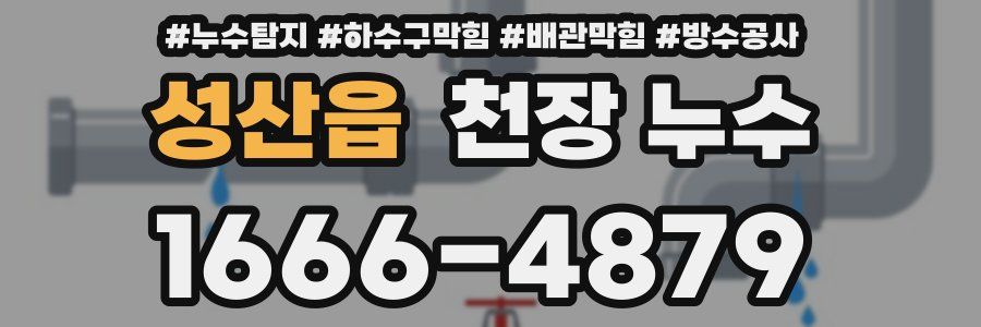 성산읍 천장 누수