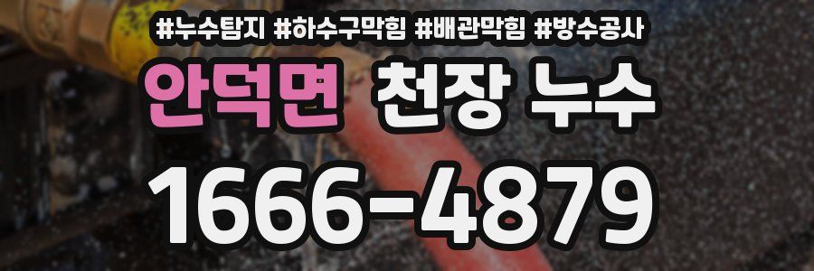 안덕면 천장 누수