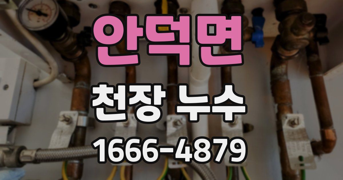 안덕면 천장 누수