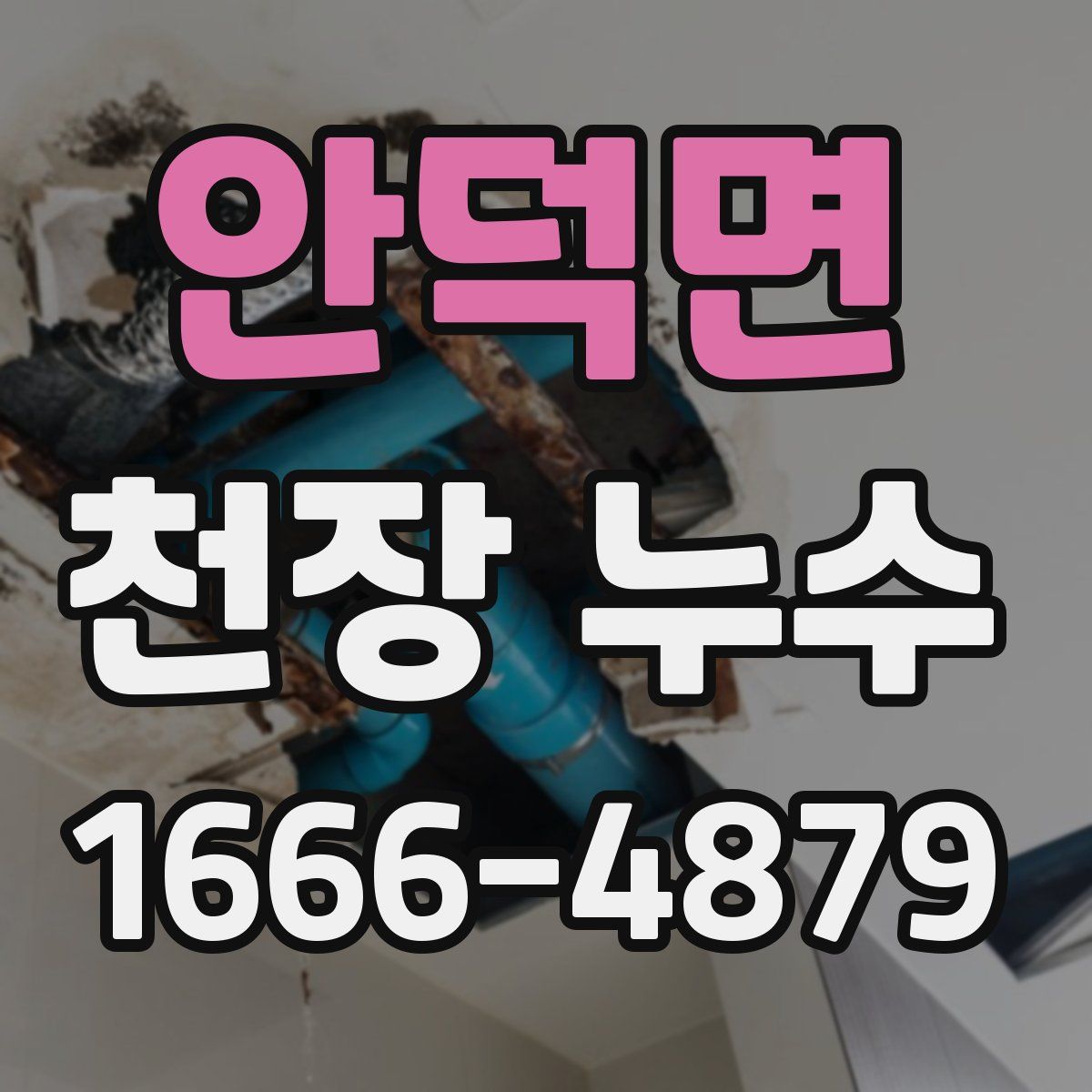 안덕면 천장 누수