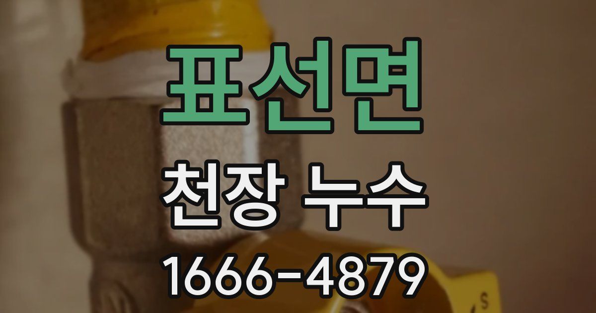 표선면 천장 누수