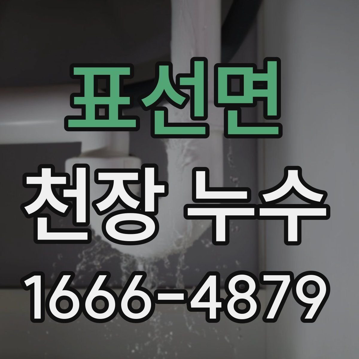 표선면 천장 누수