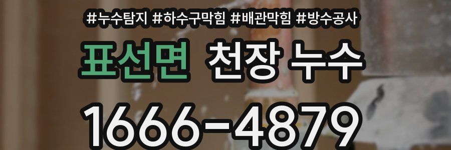 표선면 천장 누수