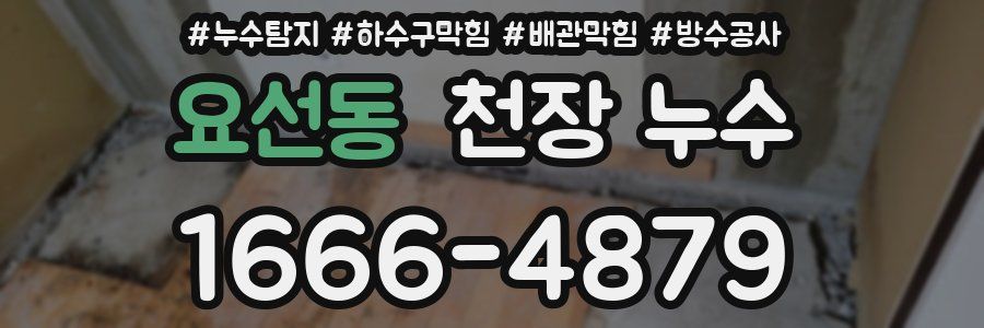 요선동 천장 누수