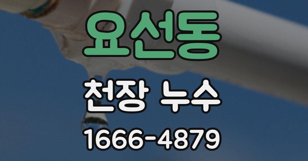 요선동 천장 누수