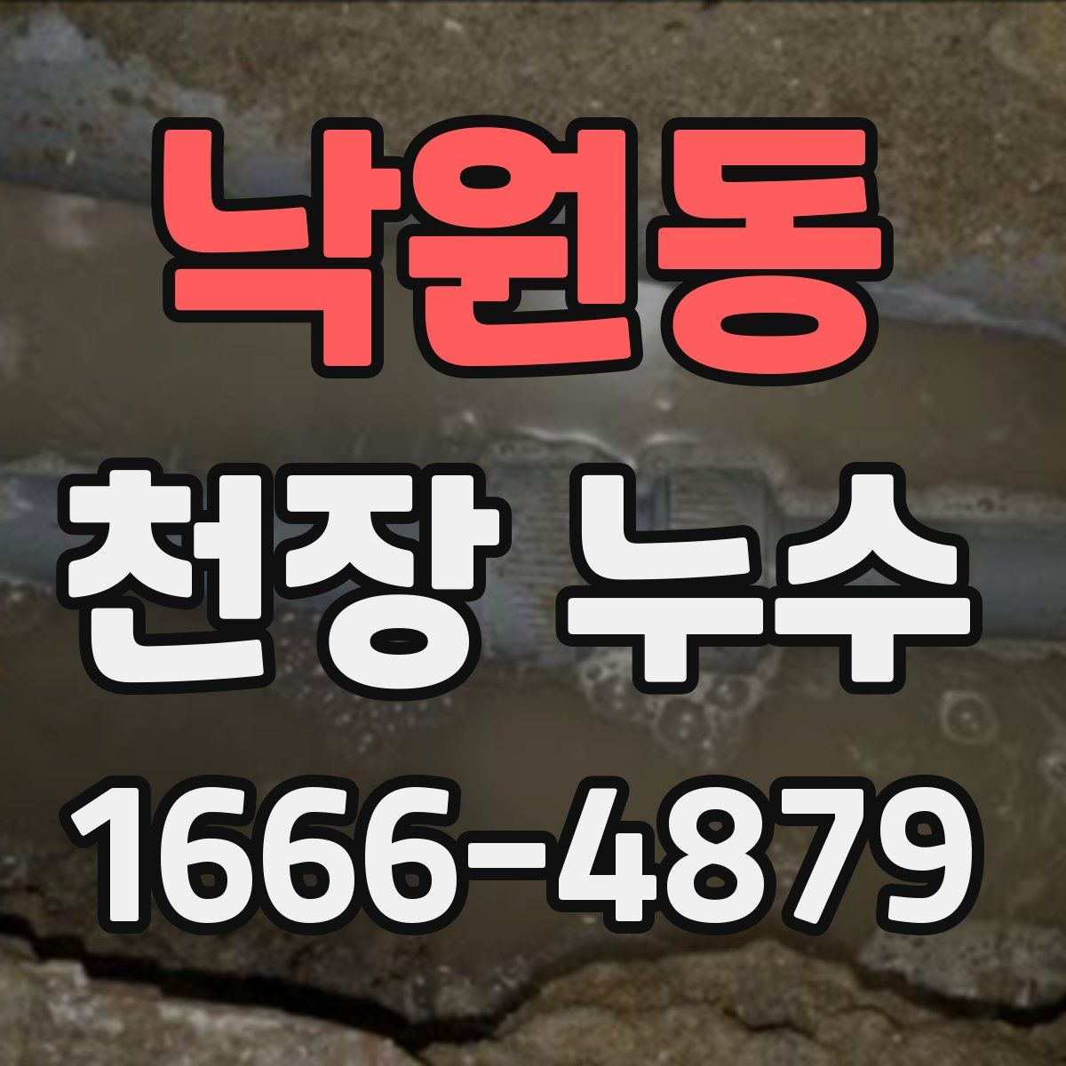낙원동 천장 누수