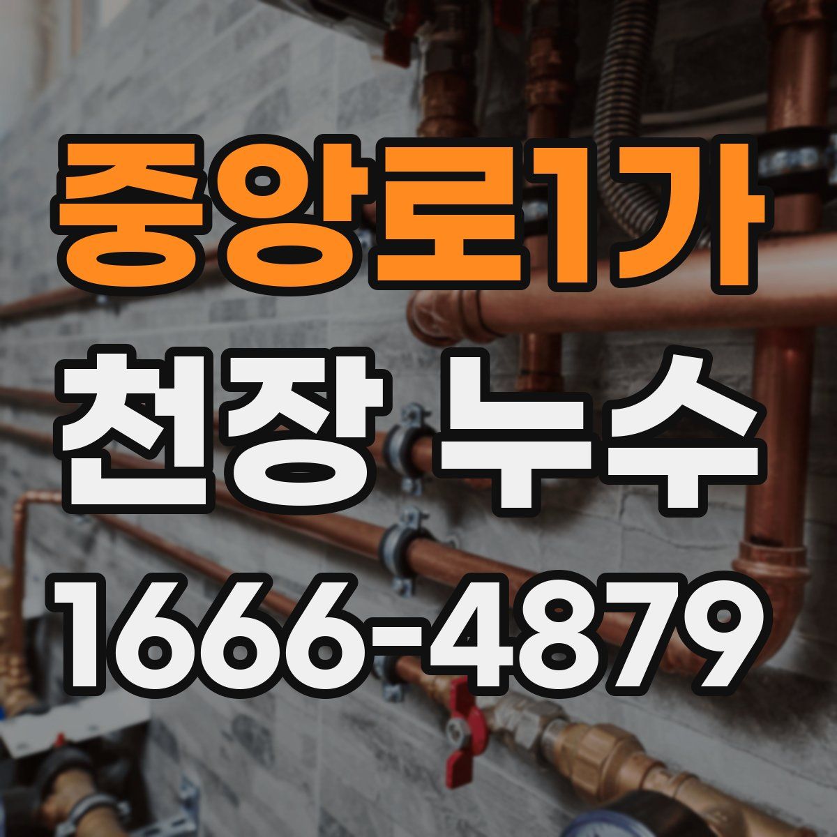 중앙로1가 천장 누수